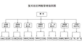 复兴社区网格管理组织架构解析